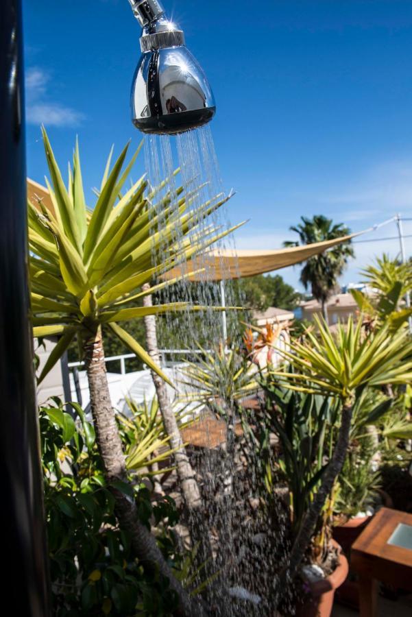 Beach Inn Apartment Alcúdia Extérieur photo